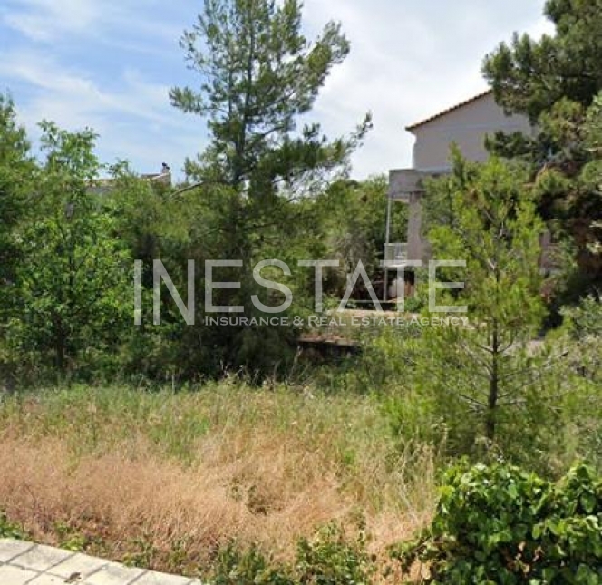 property-img