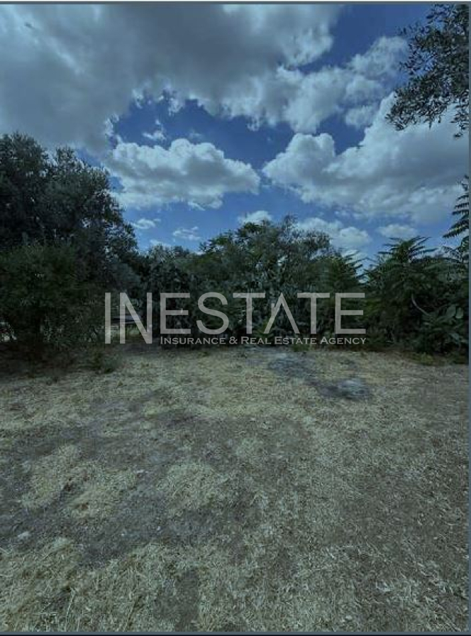 property-img